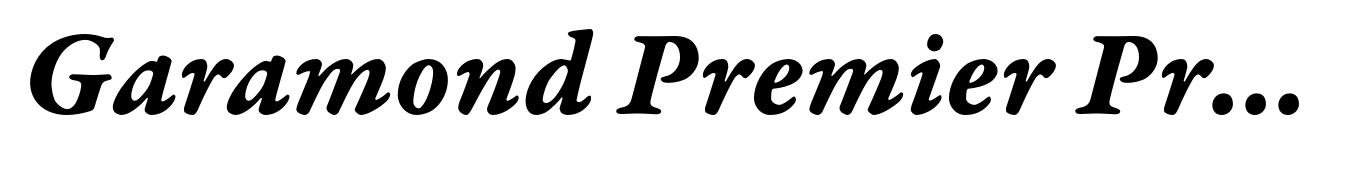 Garamond Premier Pro Bold Italic Caption